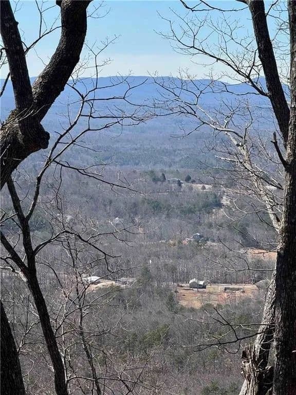 Lots & Land-Other in Big Canoe - land for sale