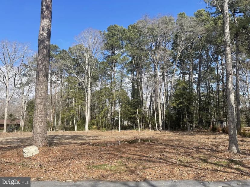 Vacant Land in Laurel