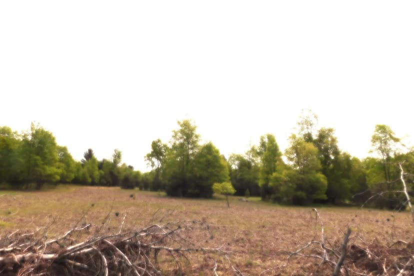 Lots & Land-Other in Kaleva