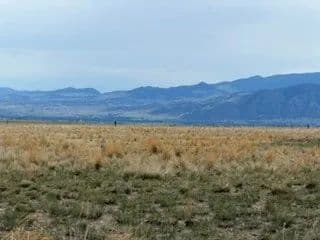 25.28 Acres of Land for Sale in Whitehall, MT - Whitehall, Montana, 59759