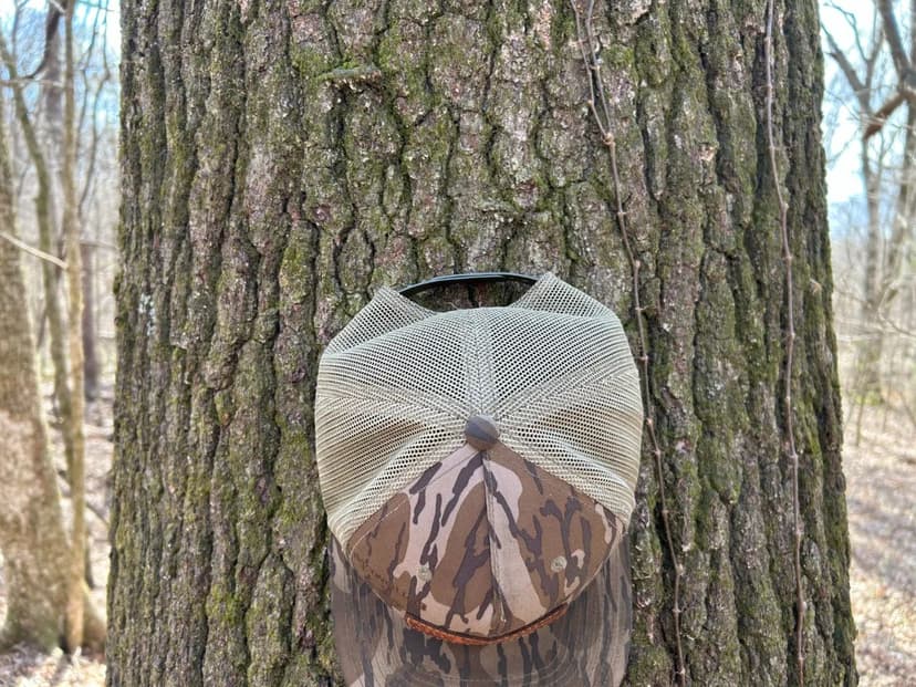 30 Acres in Panola County, MS