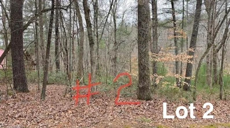 Vacant Land in Stuart - Stuart, Virginia, 24171