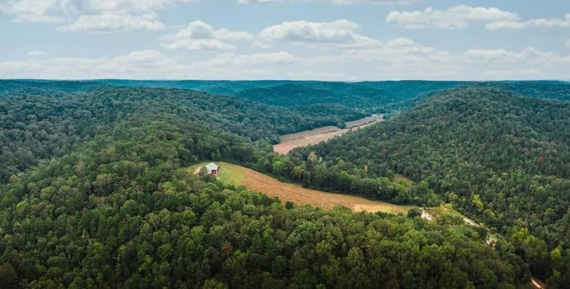 Boyd's Creek Sportsman Lodge