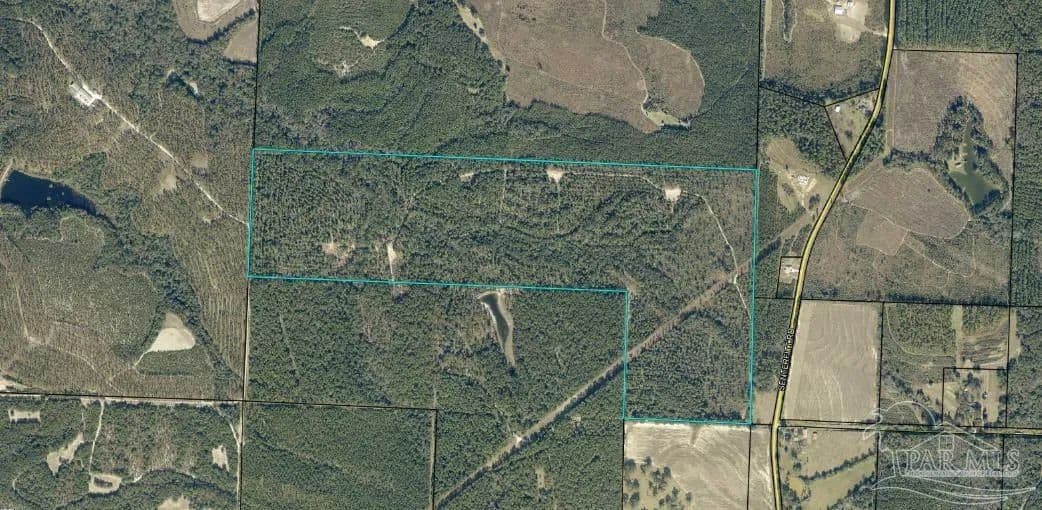 Land -Single Family Acreage in Laurel Hill - Laurel Hill, Florida, 32567