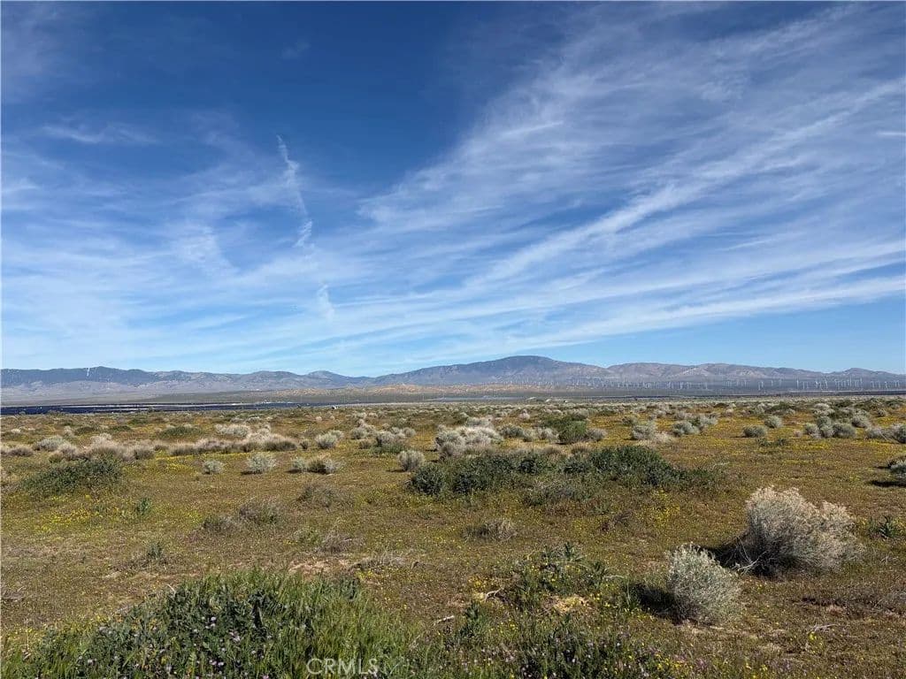 Vacant Land in Fairmont - Fairmont, California, 93536