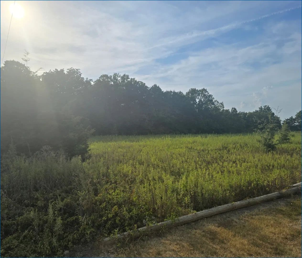 2.6 Acre Lot in Sunflower County in Cleveland, MS - Cleveland, Mississippi, 38732