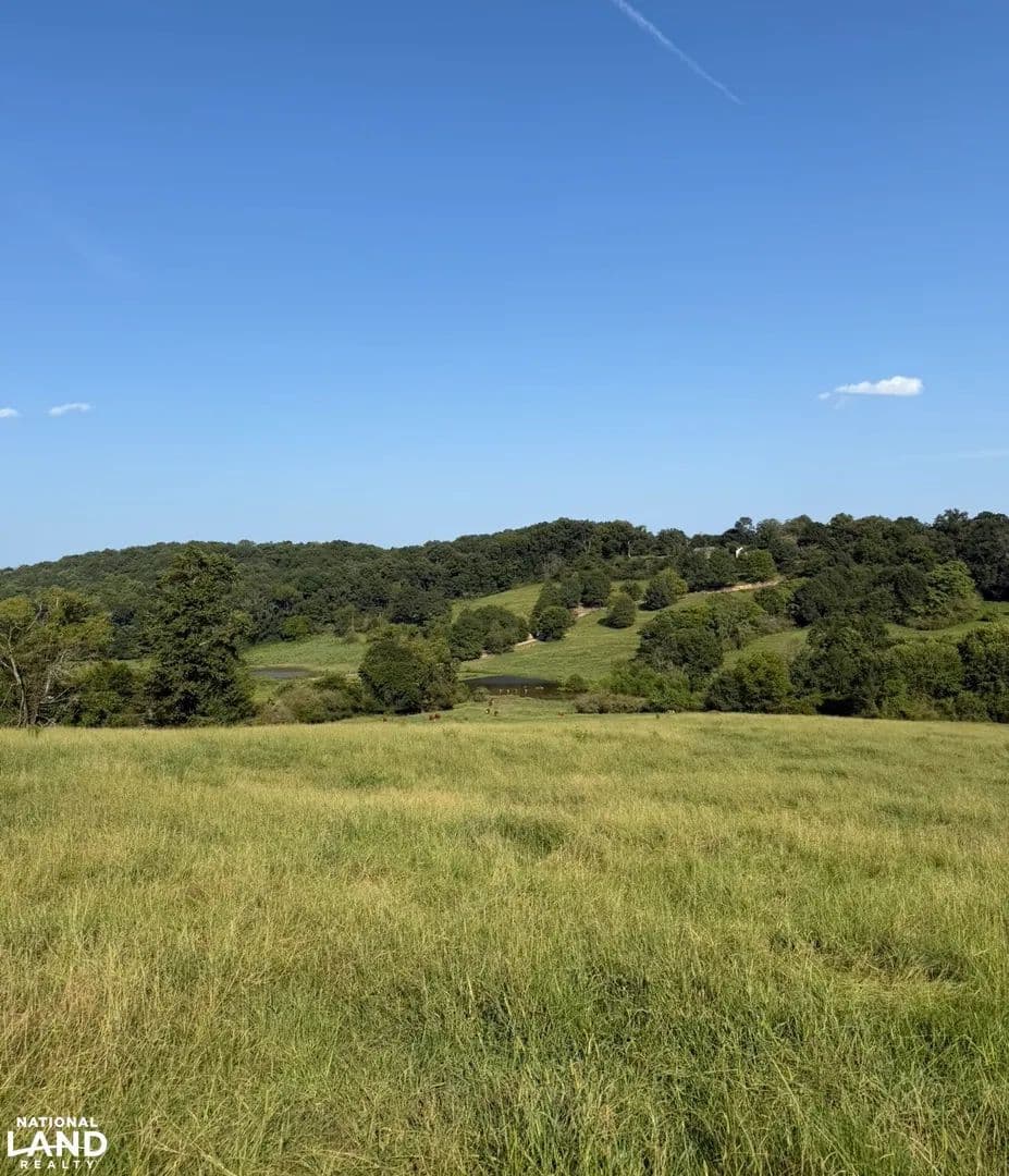 165 Acre Ledbetter Cattle Farm - Birmingham, Alabama, 35215