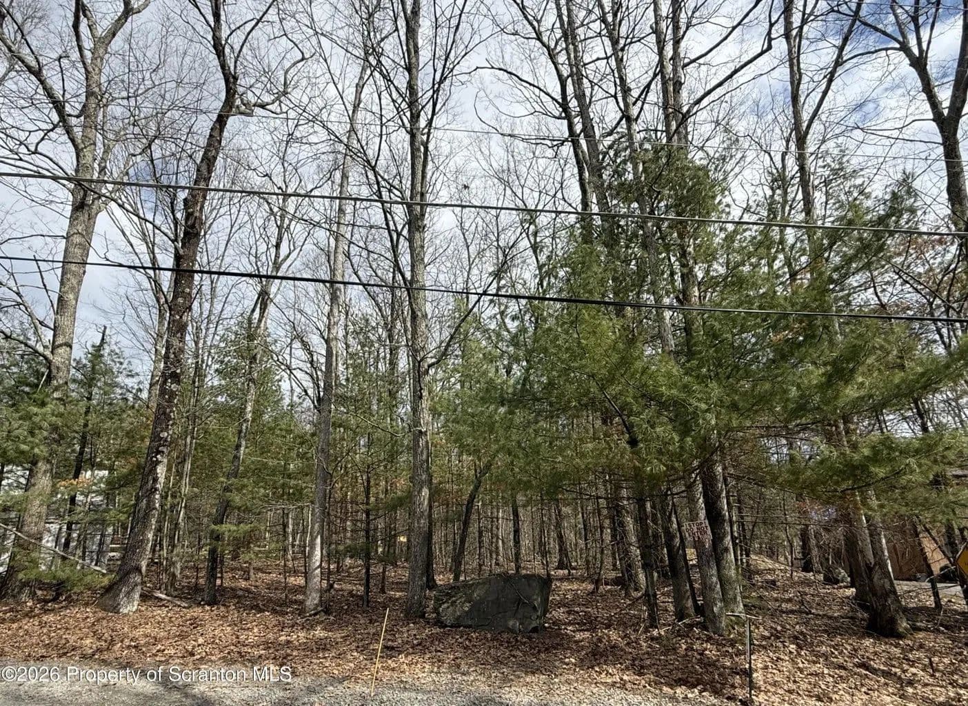 Vacant Land in Tafton - Tafton, Pennsylvania, 18464