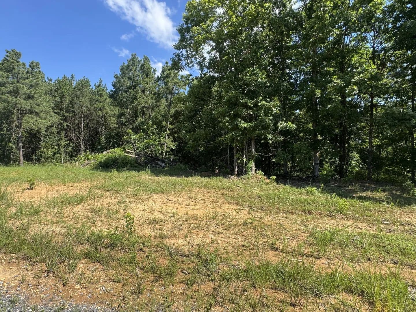 Vacant Land in Dover - Dover, Tennessee, 37058