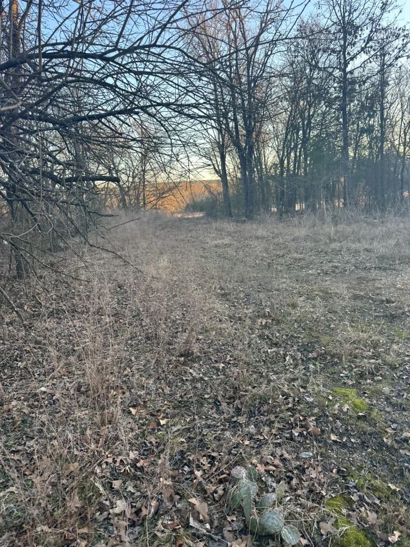4 Acres in Moyers, Oklahoma!