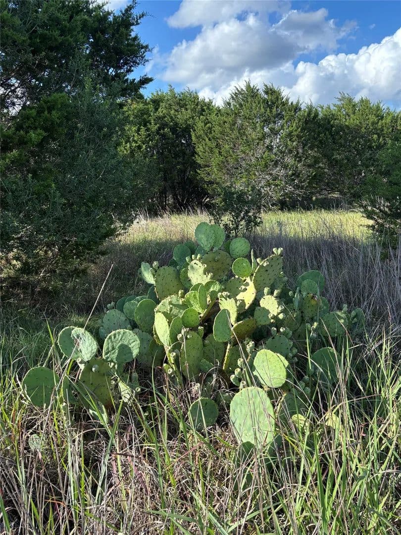 3.94 Acres of Land for Sale in Wimberley, TX - Wimberley, Texas, 78676