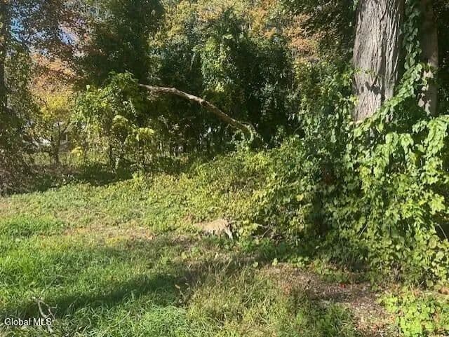 Land -Single Family Acreage in Glenville