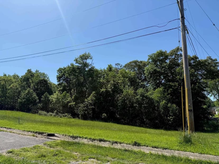 Lots & Land-Other in flatwoods