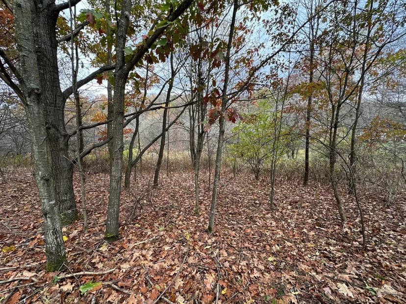 Lake Shore Dr. - Stoystown - Somerset - 2.03 +/- Acres