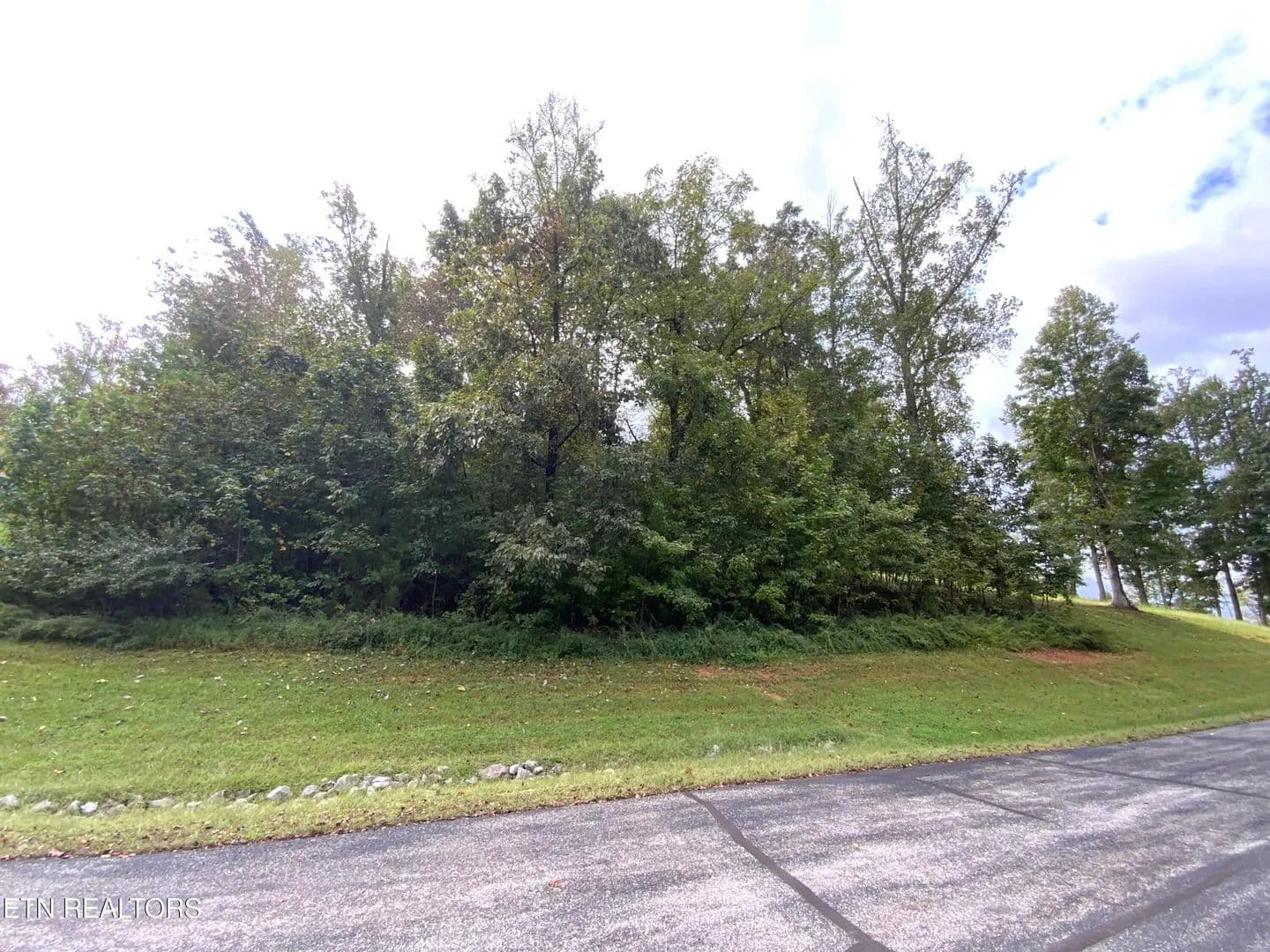 Lots & Land-Other in Rockwood - Rockwood, Tennessee, 37854