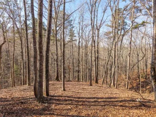 Lots & Land-Other in Talking Rock