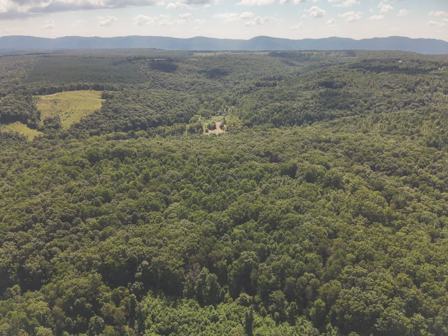 303 Acres in Bledsoe County, TN  - Crossville, Tennessee, 38572