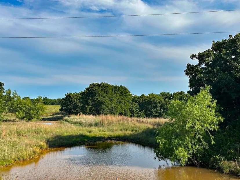 36 ± Acres for Sale, Hunting or Future Homesite, Loco, Oklahoma, Stephens County
