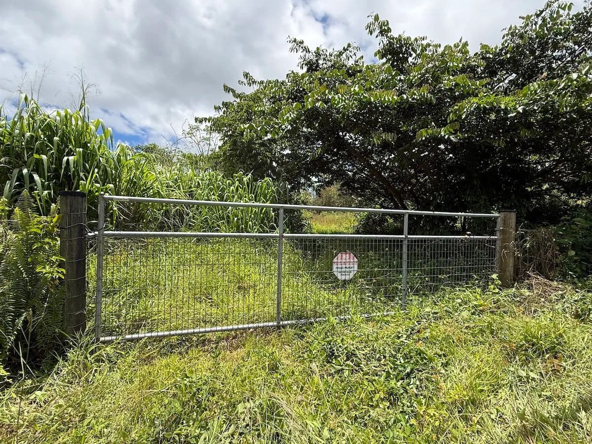 1 Acre of Land for Sale in Mountain View, HI - Mountain View, Hawaii, 96771