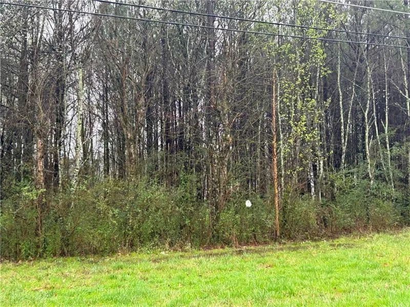 Vacant Land in Cartersville