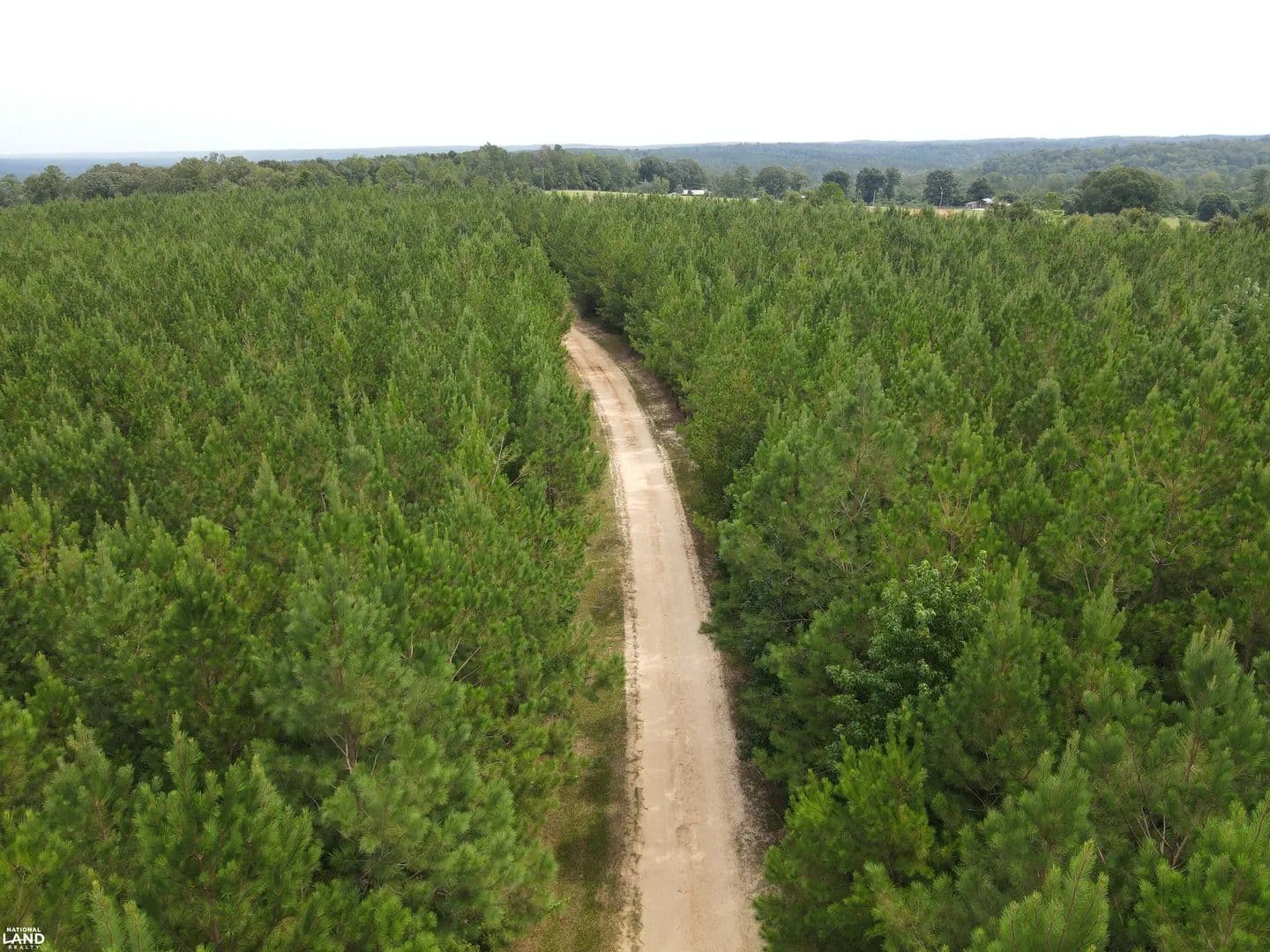 Walker Springs Homesite Tract B - Jackson, Alabama, 36545
