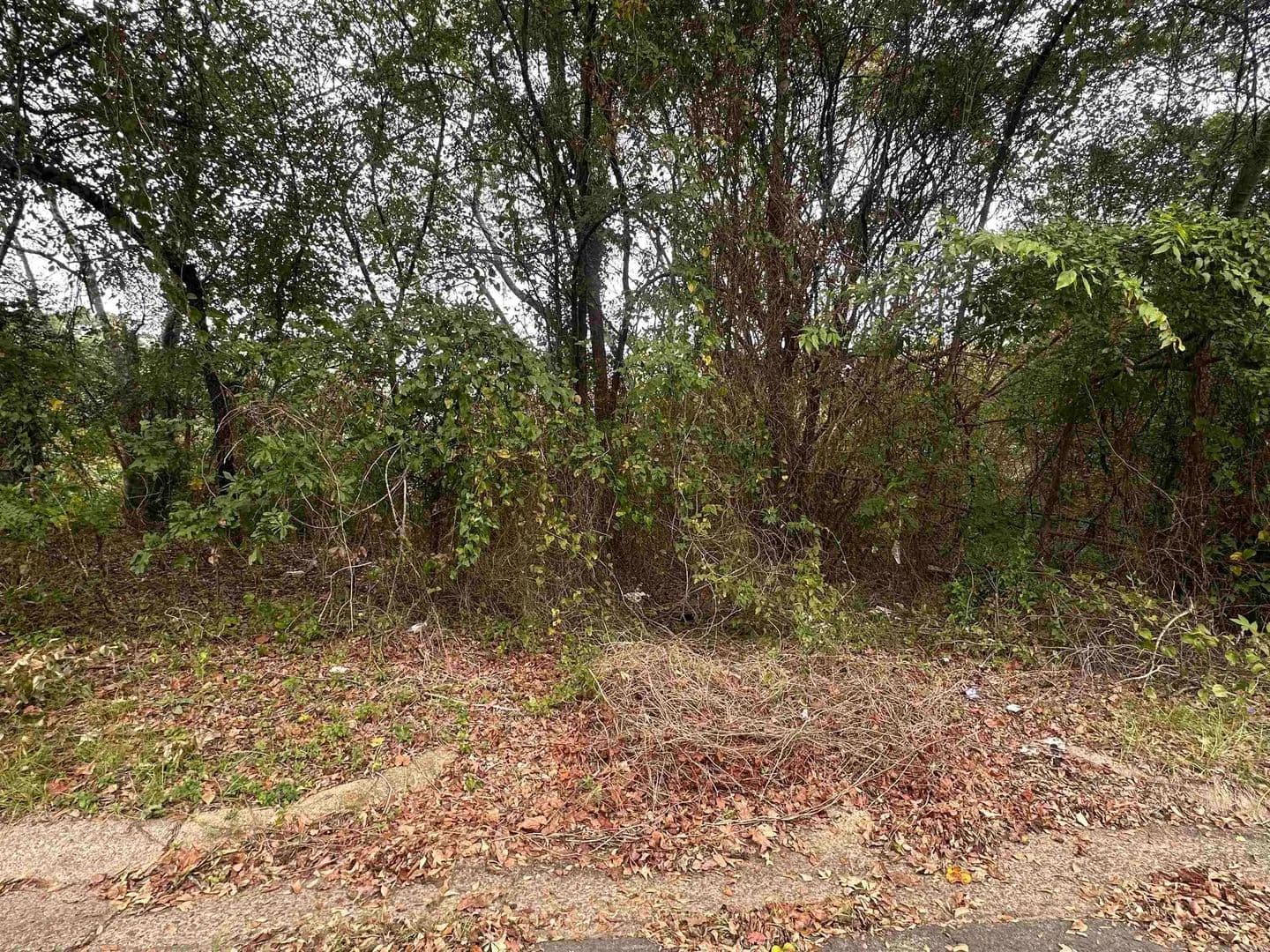 Lots & Land-Other in Camden - Camden, Arkansas, 71701