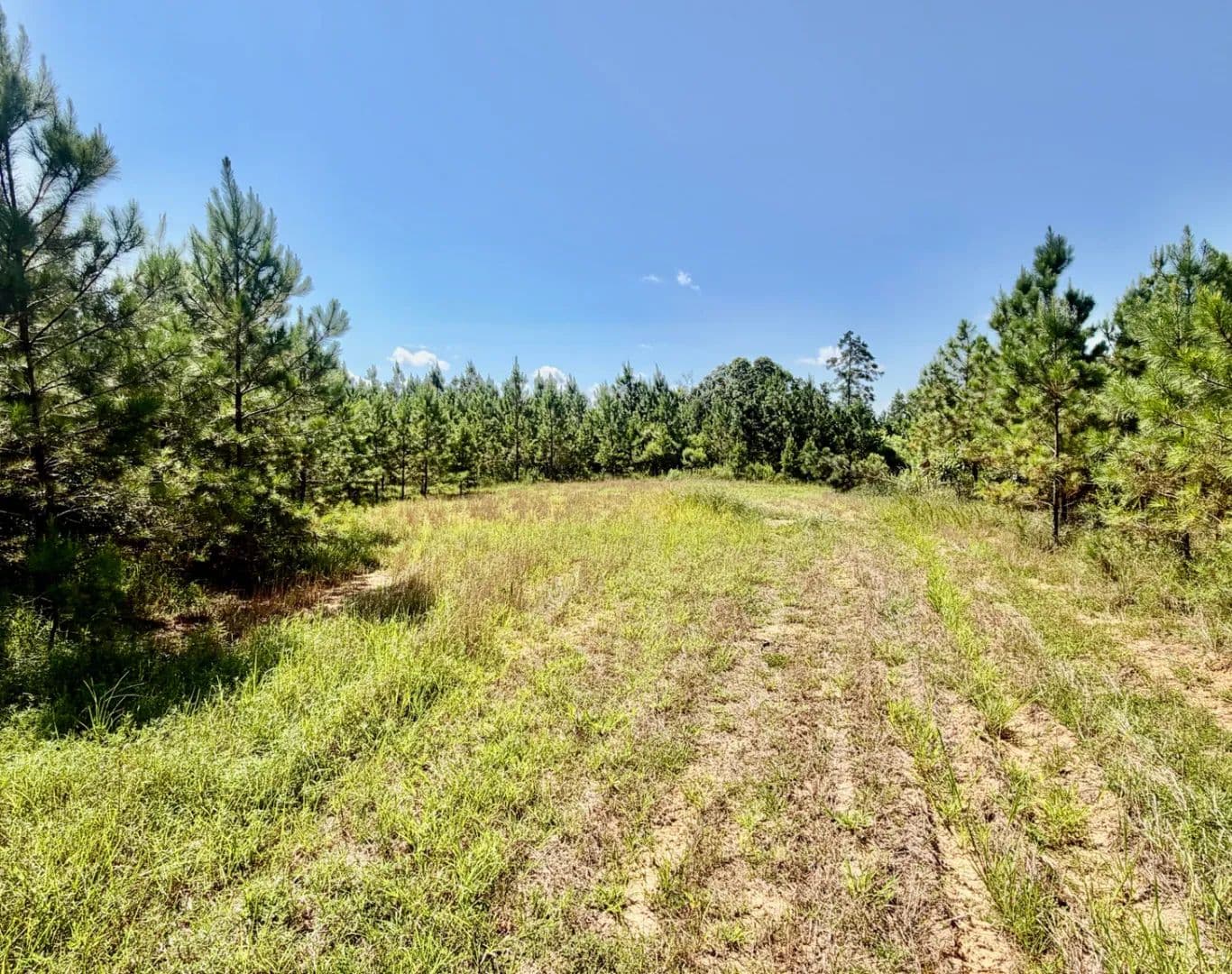 106 Acres in Grenada County in Coffeeville, MS - Coffeeville, Mississippi, 38922