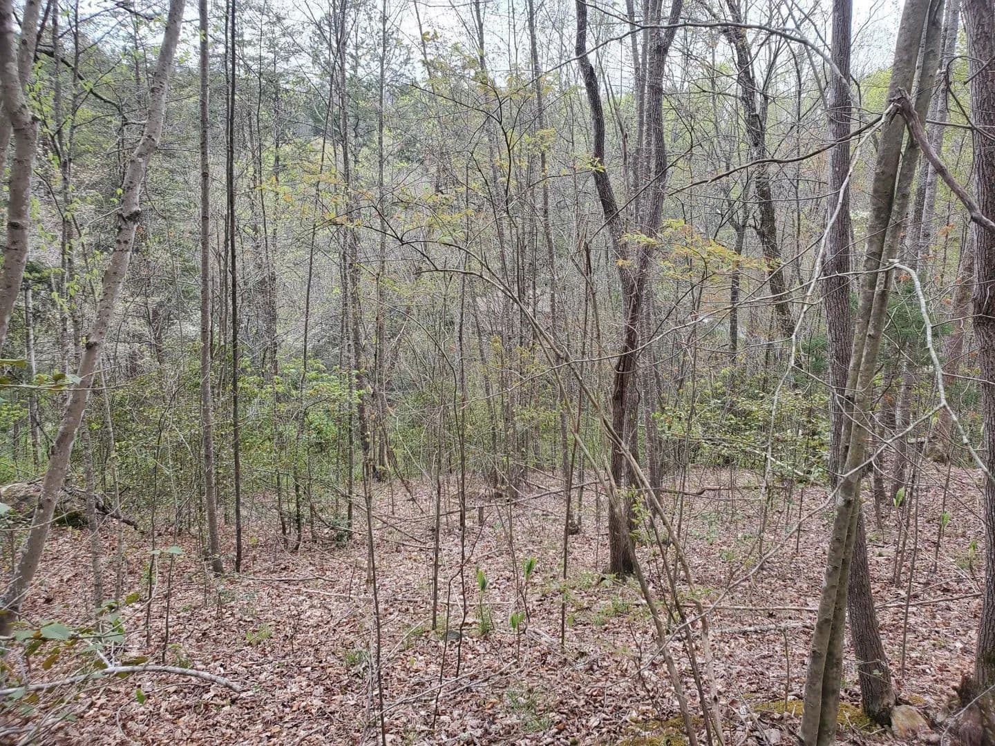 Lots & Land-Other in London - London, Kentucky, 40741