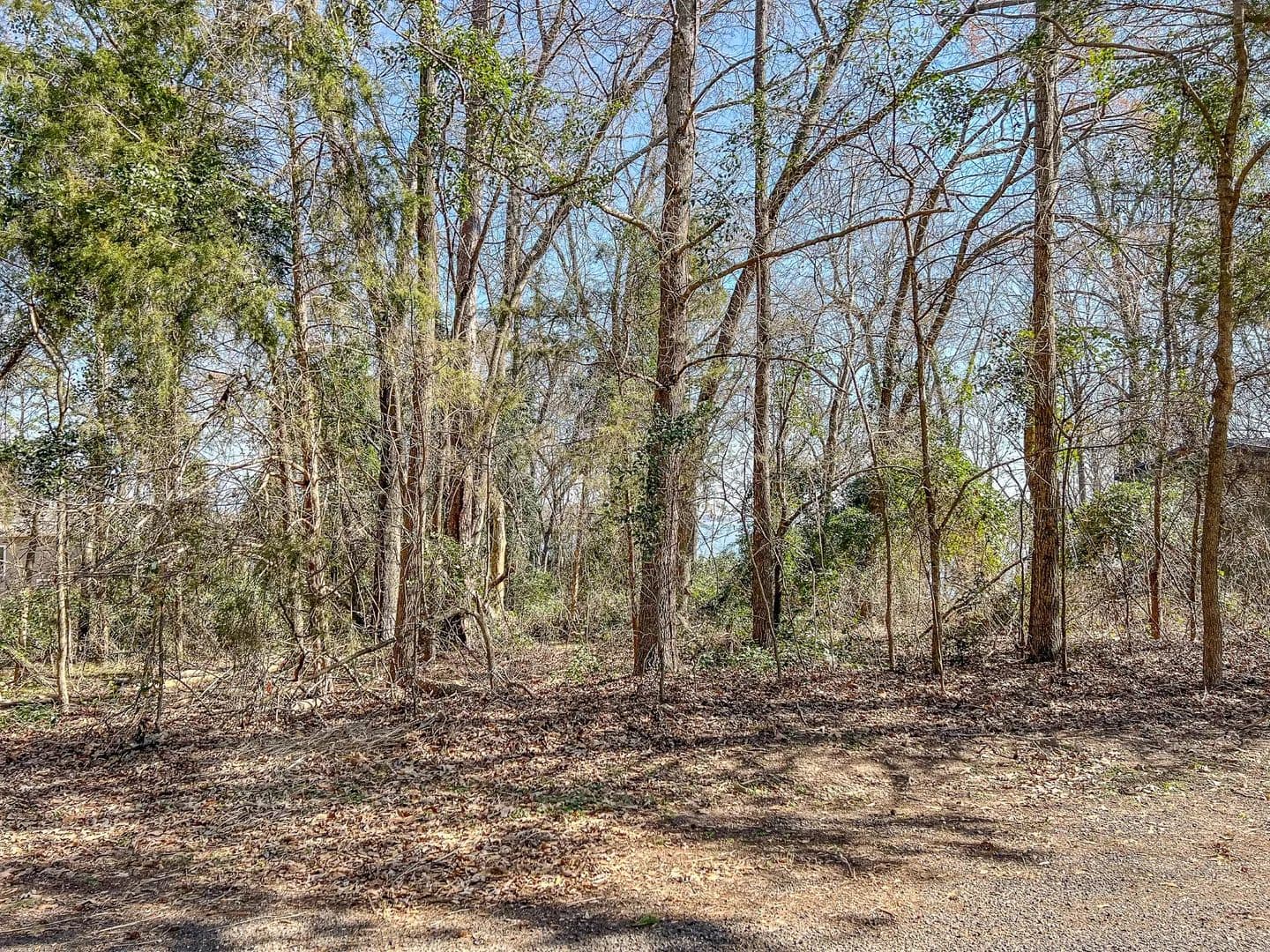 Land -Single Family Acreage in Scroggins - Scroggins, Texas, 75480
