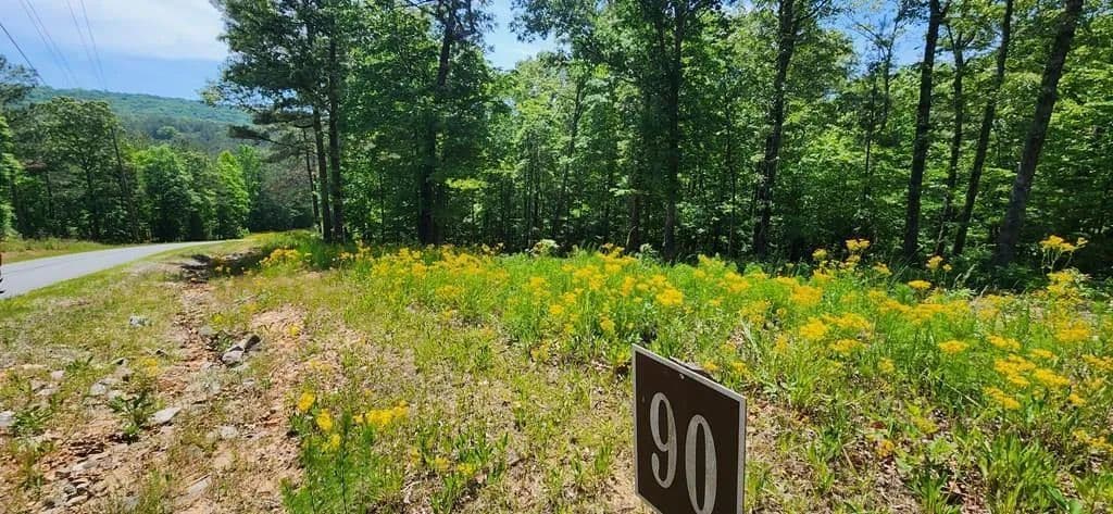Lots & Land-Other in Ellijay - land for sale