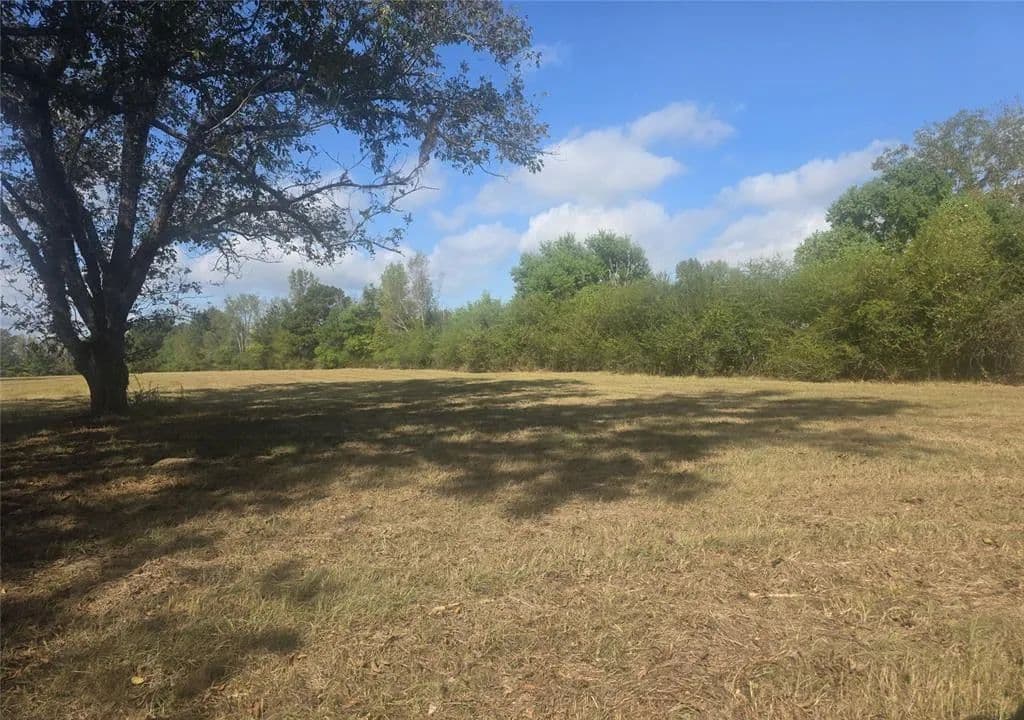 Vacant Land in Sarepta - Sarepta, Louisiana, 71071