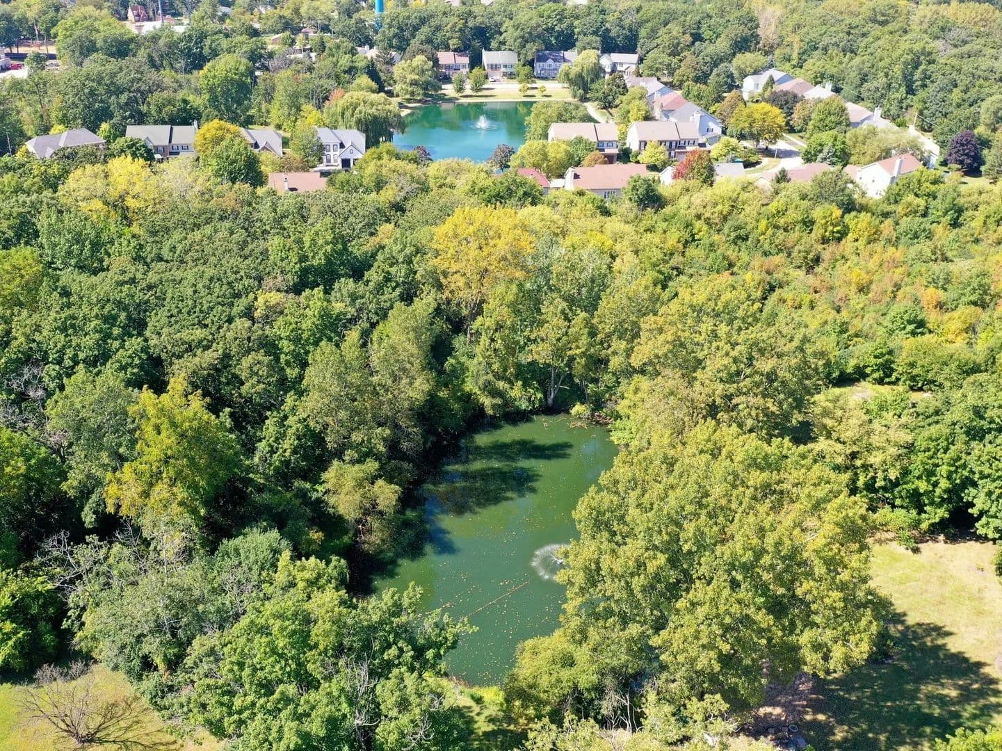 Vacant Land in Grayslake - Grayslake, Illinois, 60030