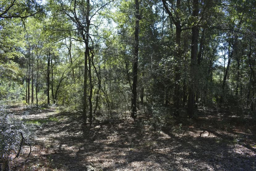 Vacant Land in Crestview