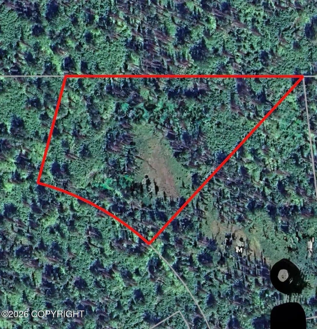 Vacant Land in Talkeetna - Talkeetna, Alaska, 99676
