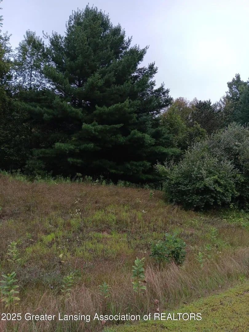 Lots & Land-Other in Owosso - Owosso, Michigan, 48867