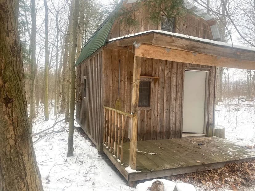 Off Grid Cabin on 6 acres near Allen Lake in Allen NY 9382 Redman Rd