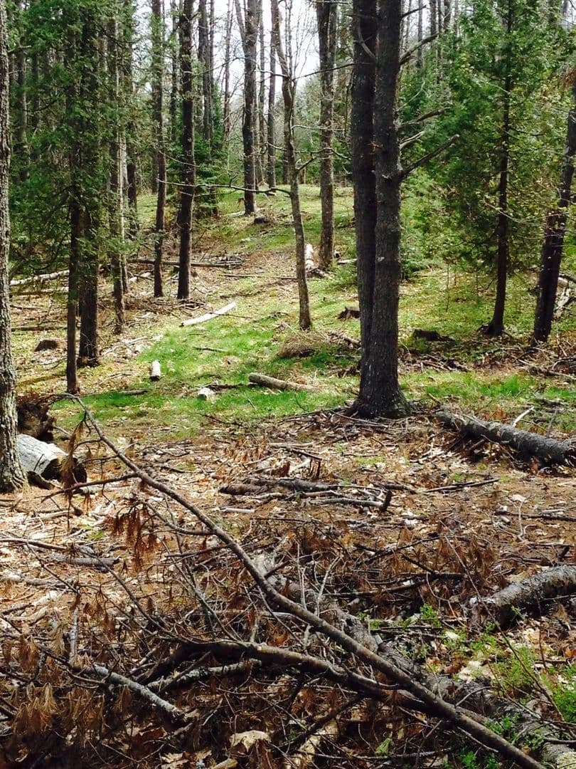 Vacant Land in Brunswick
