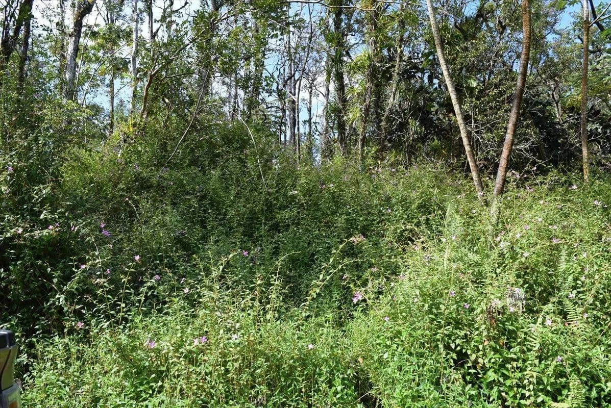 Lots & Land-Other in Pahoa - Pahoa, Hawaii, 96778
