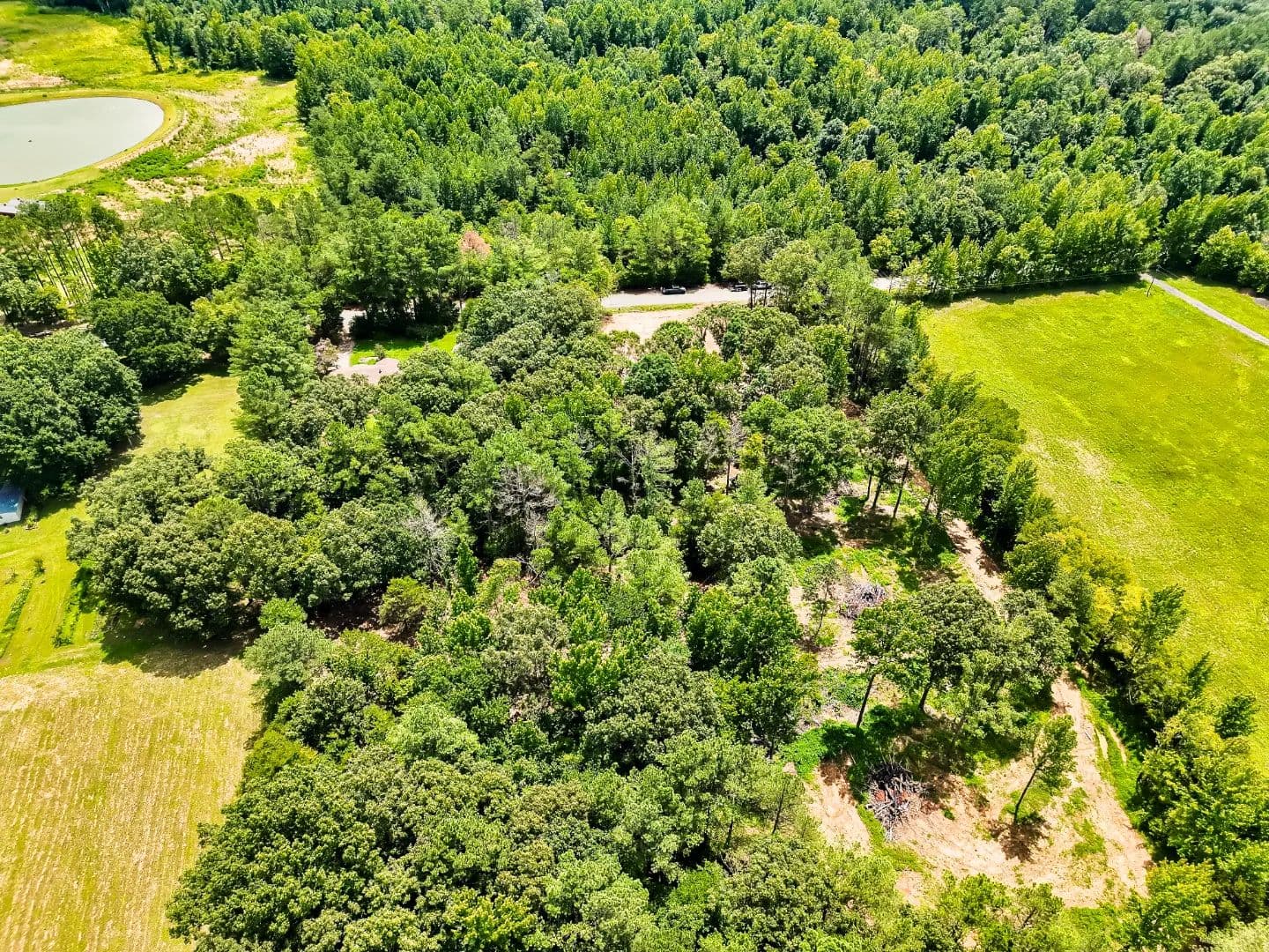 49 Acres in Fayette County, TN  - Moscow, Tennessee, 38057