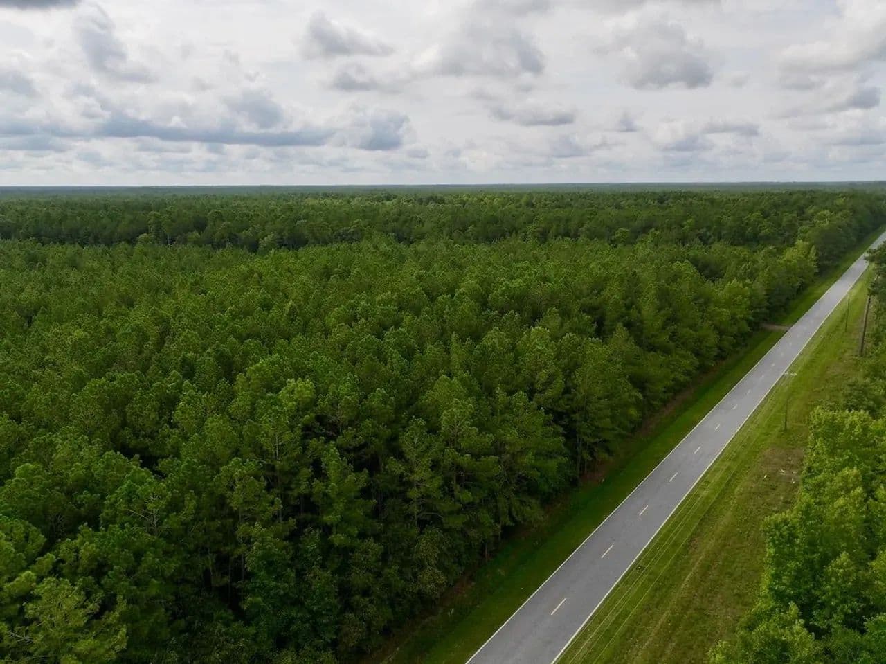 9.61 acre Potential Homesite and Timber Land For Sale in Greene County NC! - Farmville, North Carolina, 27851