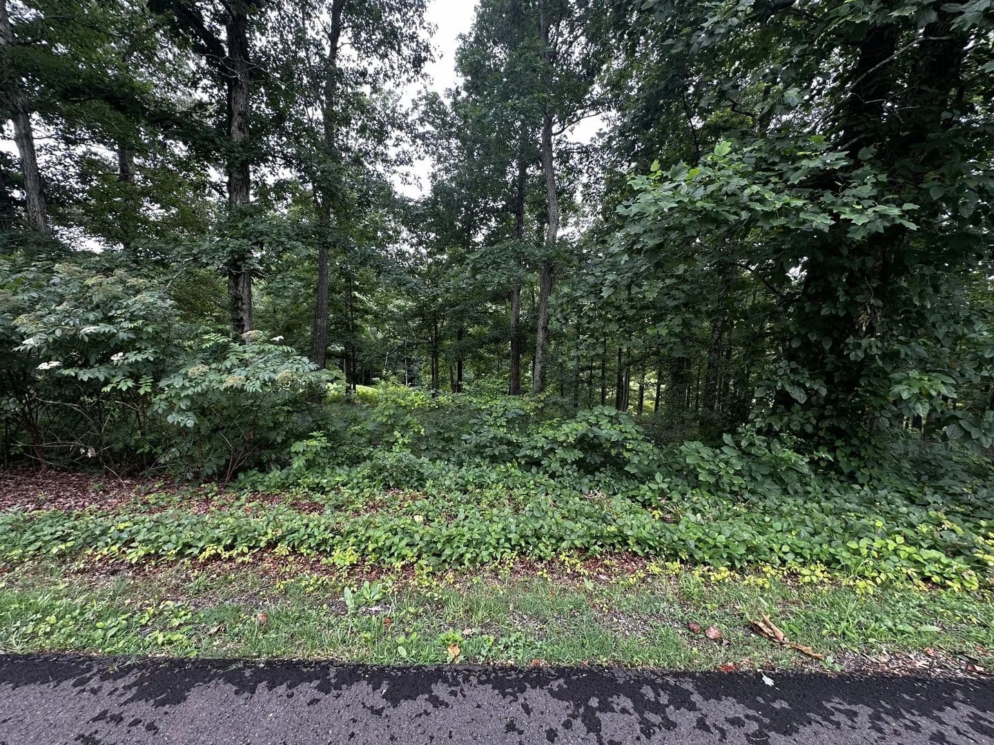 Vacant Land in Loretto - Loretto, Tennessee, 38469