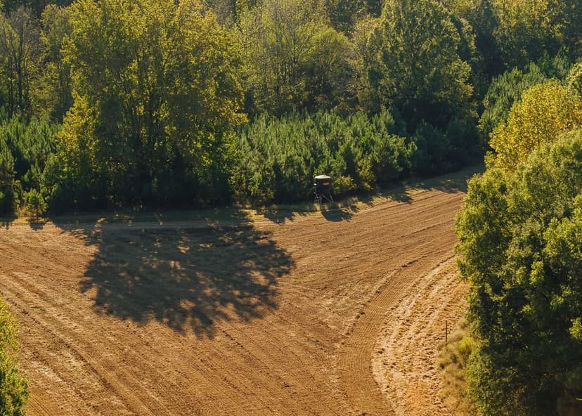 251 Acres with a Cabin in Panola County, MS 