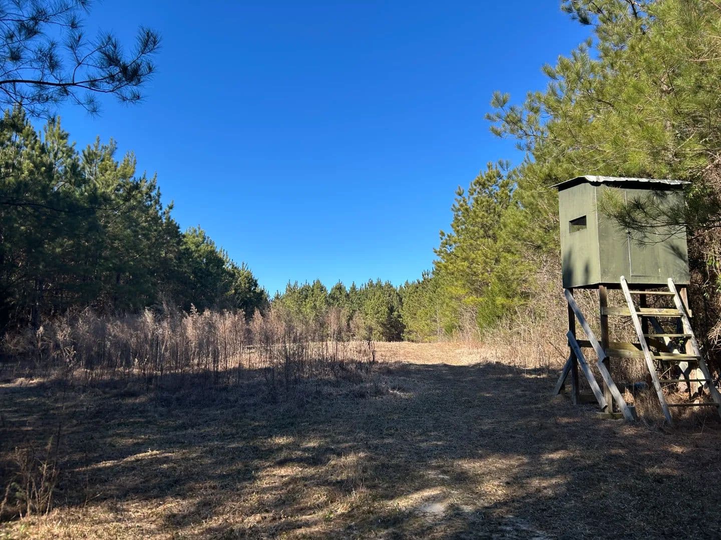 212 Acres in Newton County, MS - Decatur, Mississippi, 39327