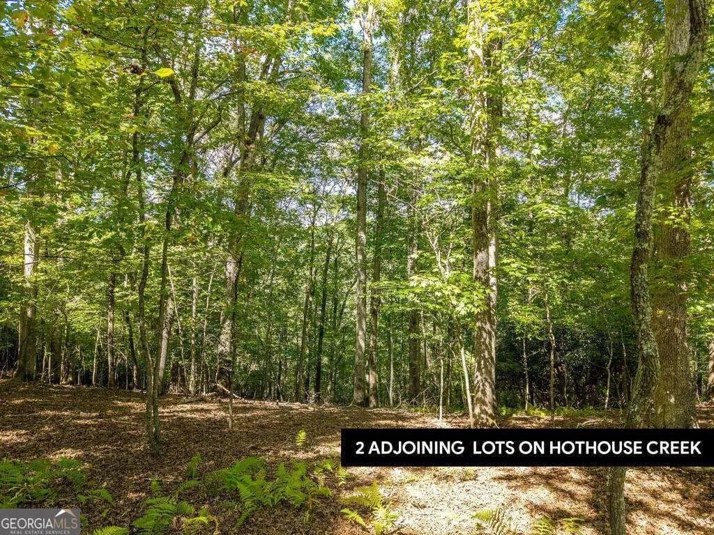 2.9 Acres of Land for Sale in Mineral Bluff, GA - Mineral Bluff, Georgia, 30559