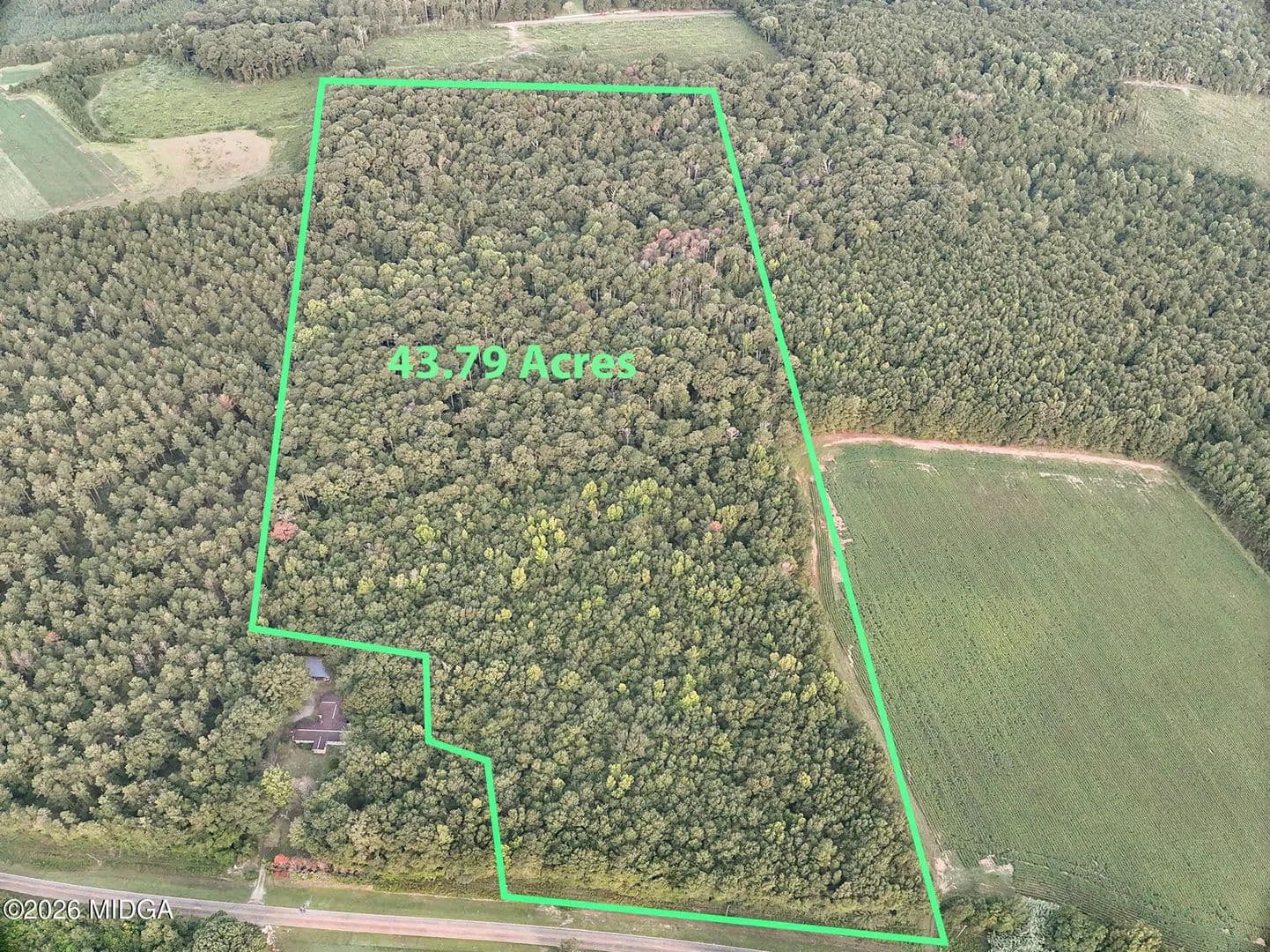 43.79 Acres of Land for Sale in Oglethorpe, GA - Oglethorpe, Georgia, 31068
