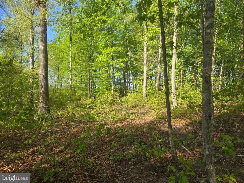 Property from FIREHOUSE DRIVE - KW