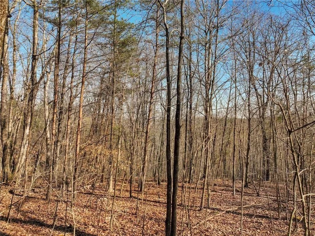 3.5 Acres of Land for Sale in Murrayville, GA - Murrayville, Georgia, 30564