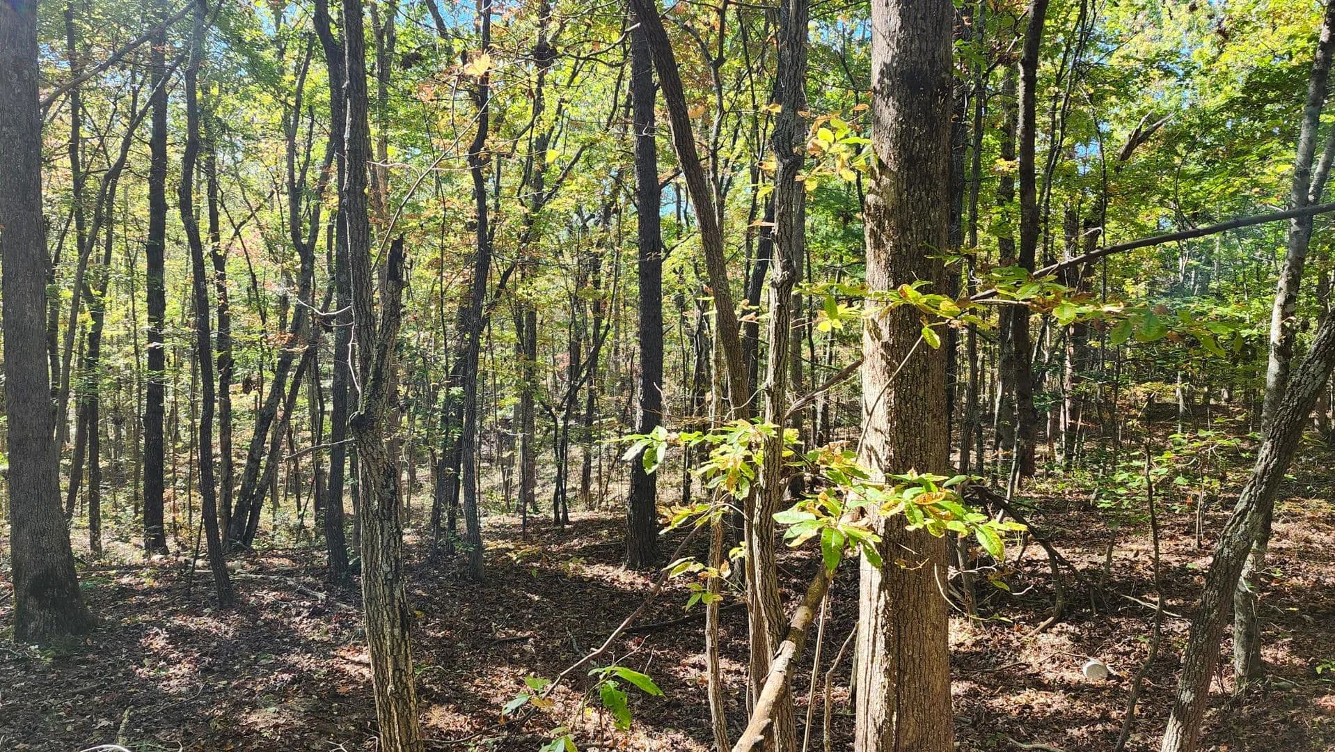 Vacant Land in Tracy City - Tracy City, Tennessee, 37387