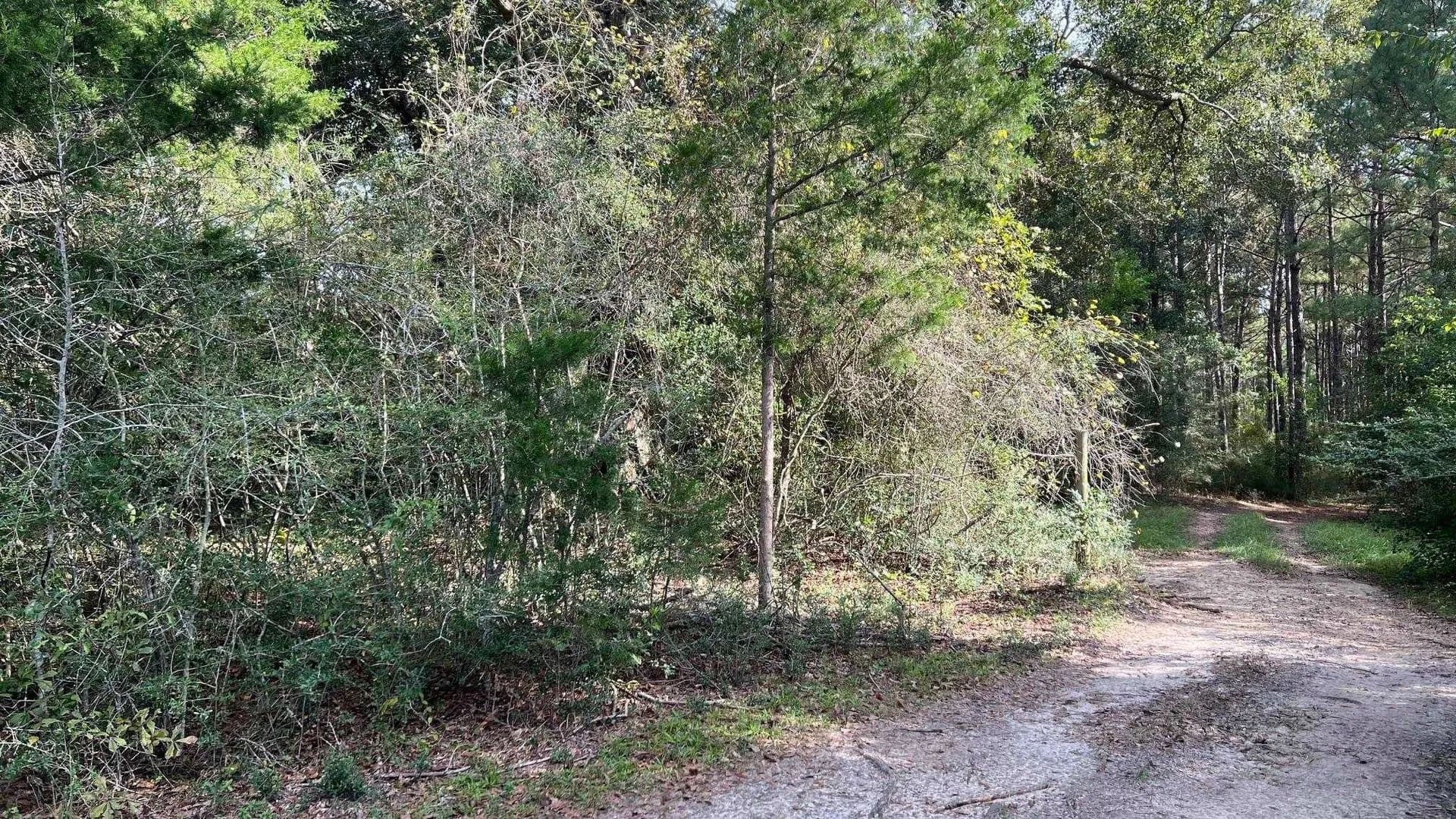 Lots & Land-Other in Opp - Opp, Alabama, 36467