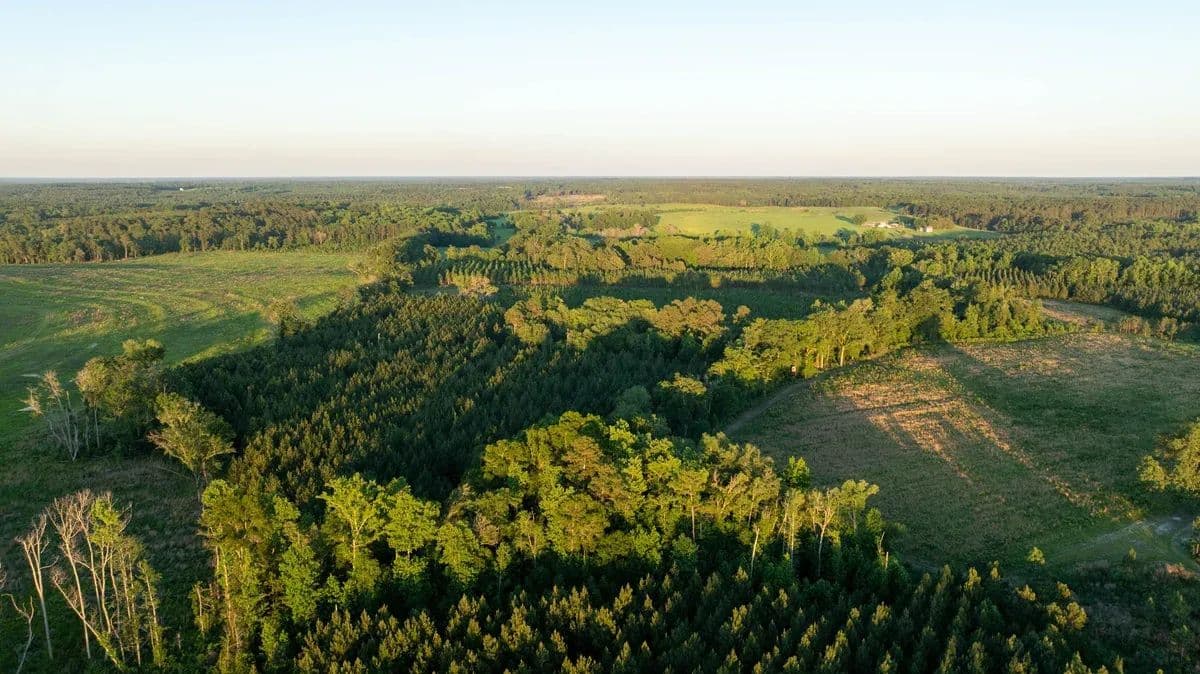 East Sportsman Longleaf Tract 4 - Sylvania, Georgia, 30467